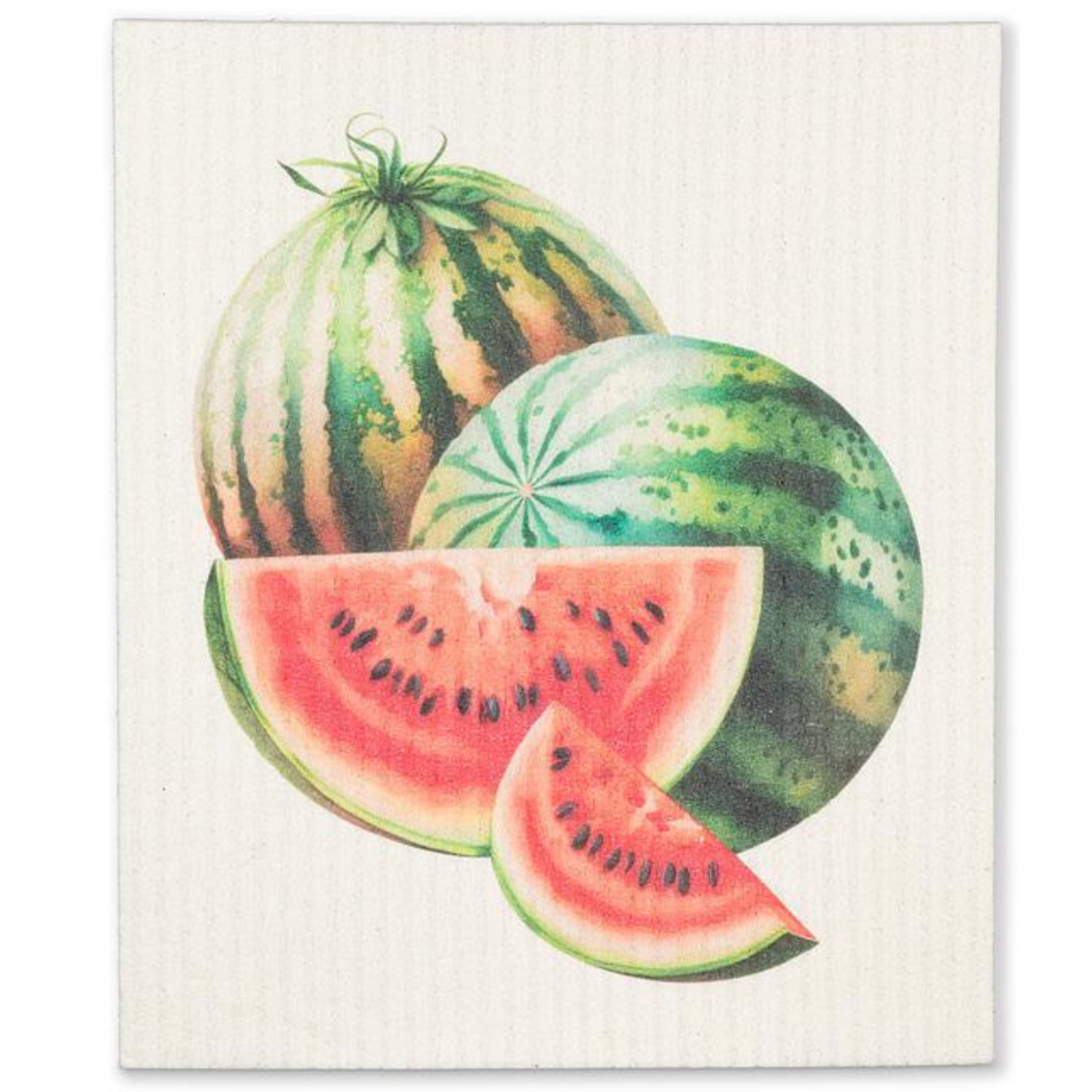 ABBOTT ABBOTT Swedish Dish Cloth -Watermelon