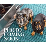 NATURAL LIVING NATURAL LIVING Salad Servers 26cm - Black Stainless Steel