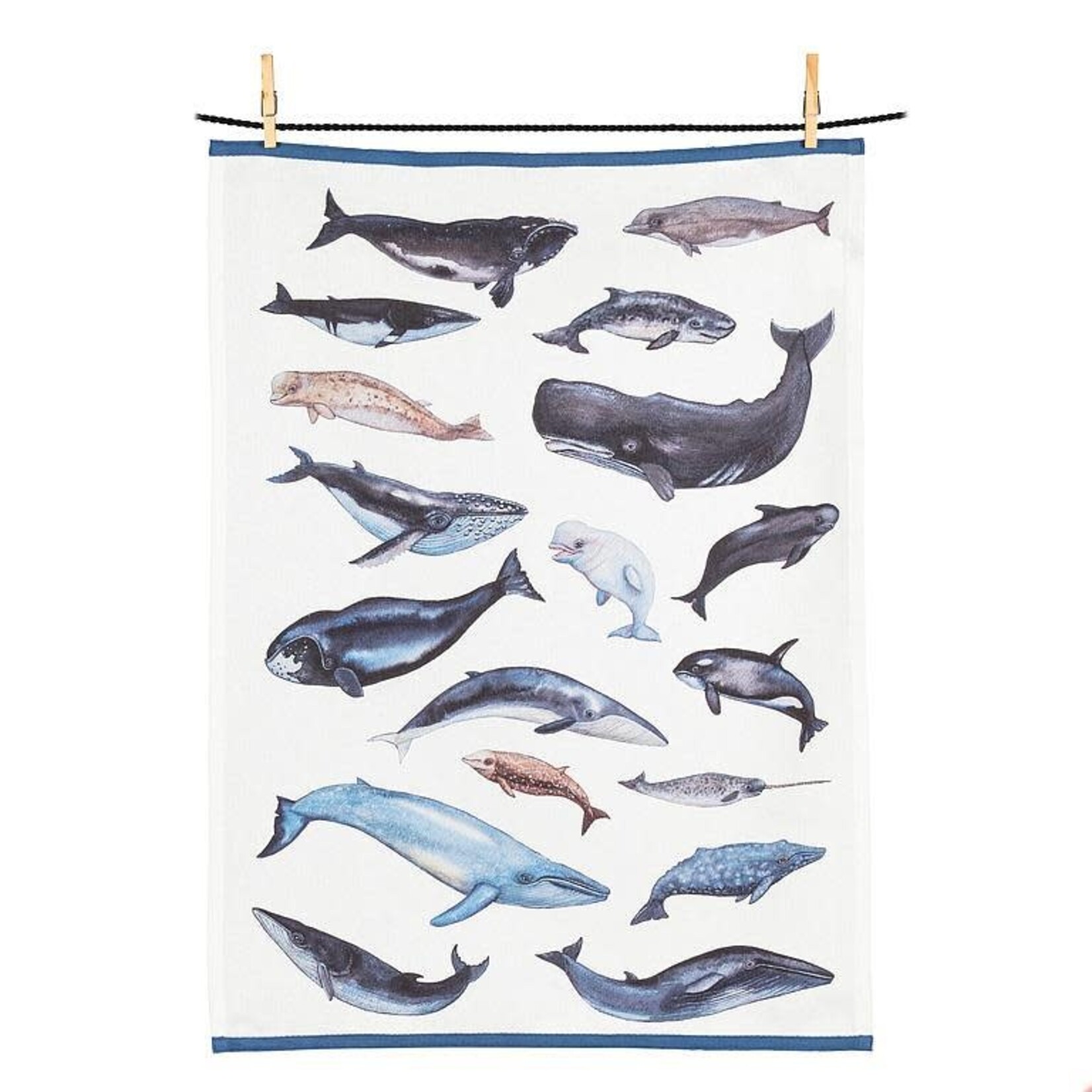 ABBOTT ABBOTT Tea Towel - Whales