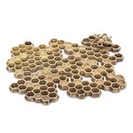 ABBOTT ABBOTT Honeycomb Trivet w/ Bee