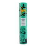 SHORTBREAD HOUSE SHORTBREAD HOUSE - Stem Ginger in Decorative Tin