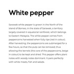 PEUGEOT PEUGEOT Malaysia White Pepper (80g) - Sarawak