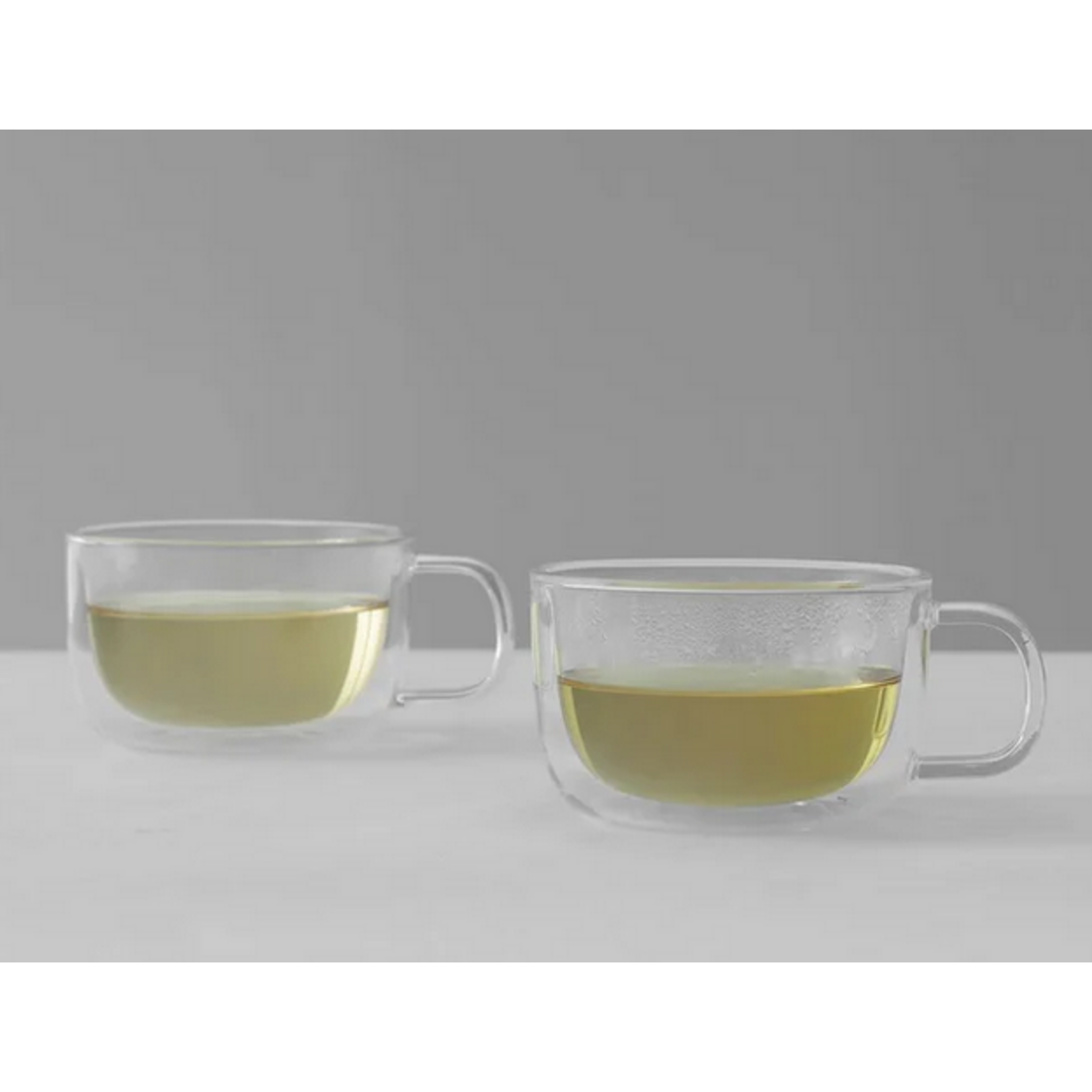 VIVA Classic Double-Wall Large Mug s/2 - Clear