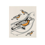 NATIVE NORTHWEST NATIVE NORTHWEST Eco Cloth - Robin