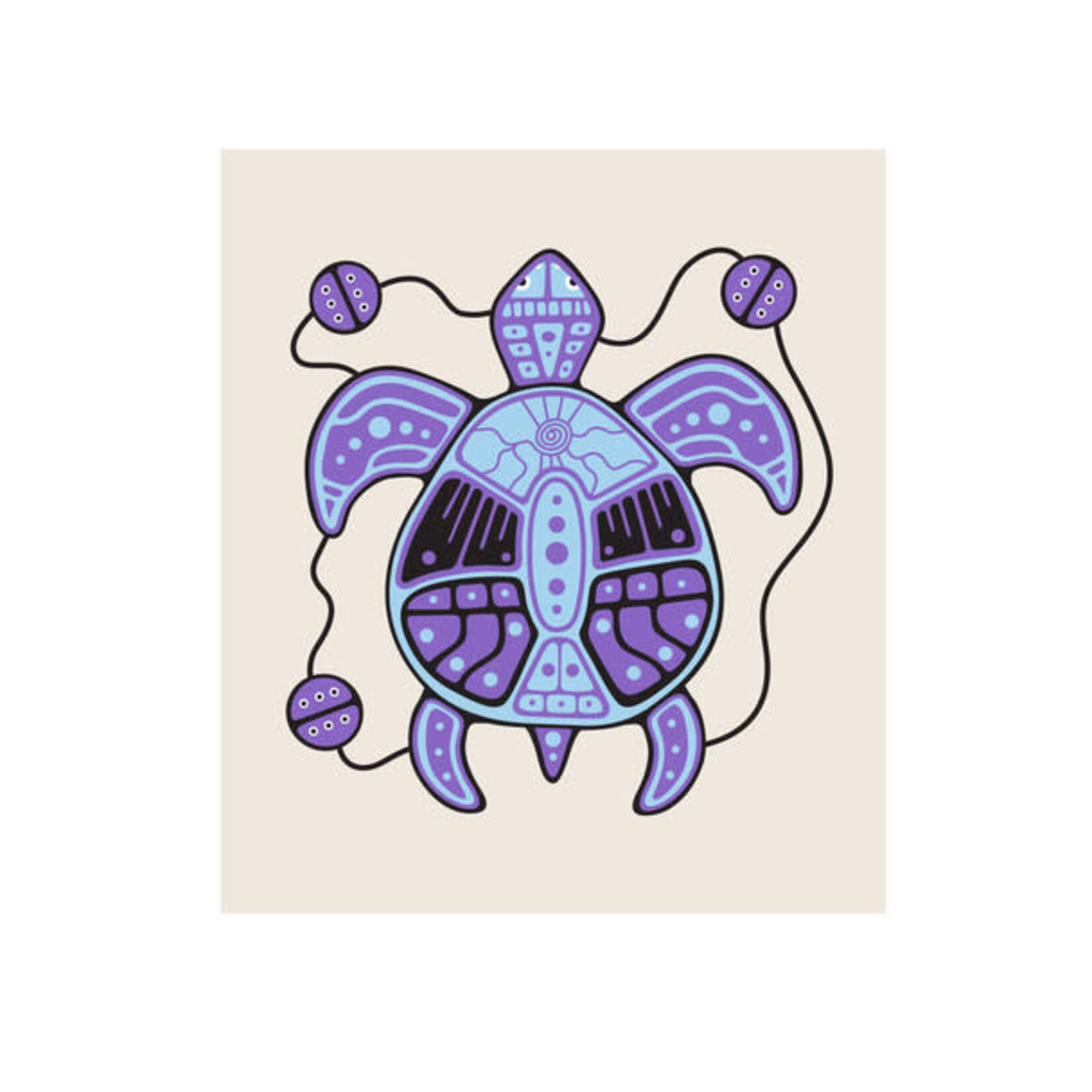 NATIVE NORTHWEST NATIVE NORTHWEST Eco Cloth - Turtle