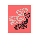 NATIVE NORTHWEST NATIVE NORTHWEST Eco Cloth - Thunderbird and Orca