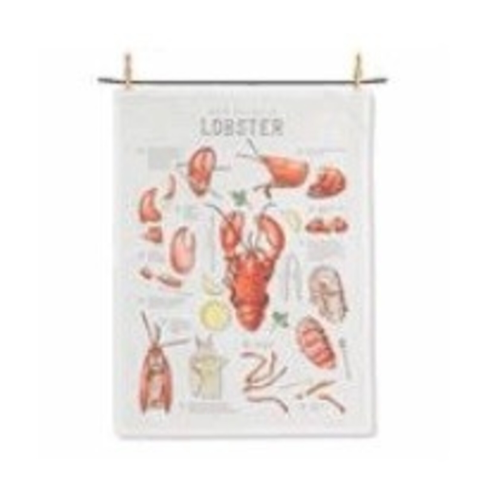 ABBOTT ABBOTT How to Eat Lobster Kitchen Towel