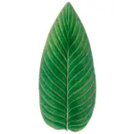 COSTA NOVA COSTA NOVA Riviera Strelizia Leaf Platter -  Forets