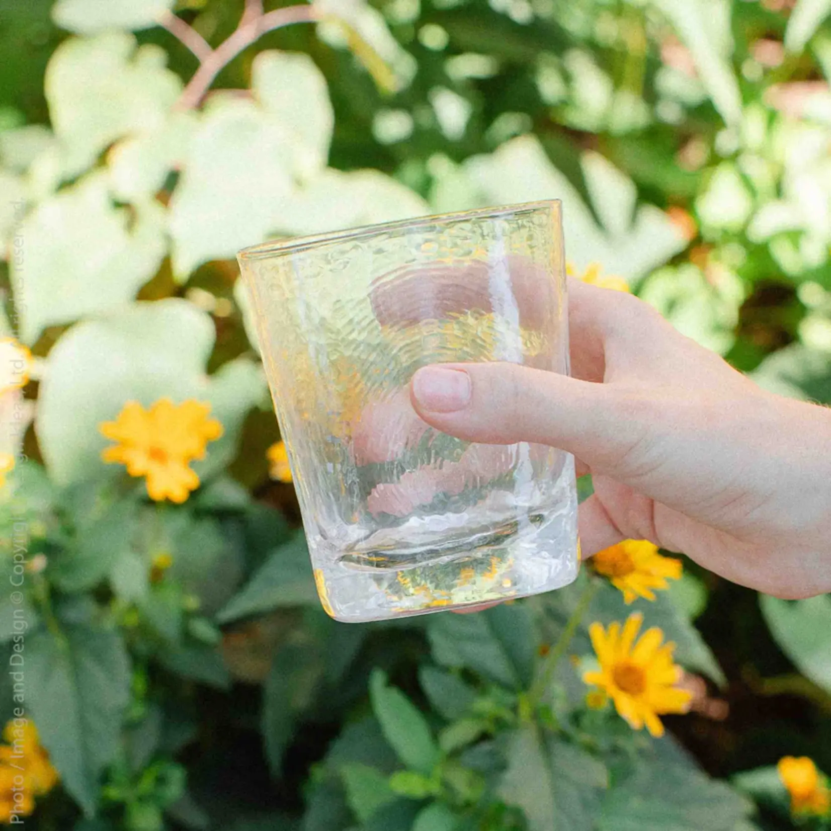 DESIGN IDEAS EU DESIGN IDEAS EU - Serapha Drinking Glass 14oz