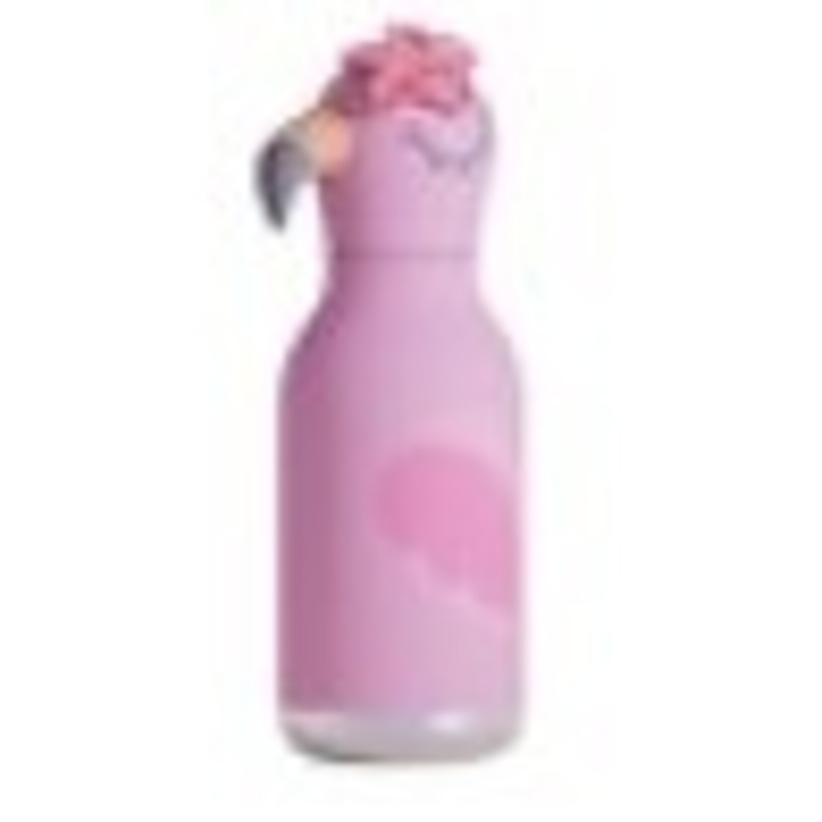 ASOBU ASOBU 16oz Animal Bottle - Flamingo