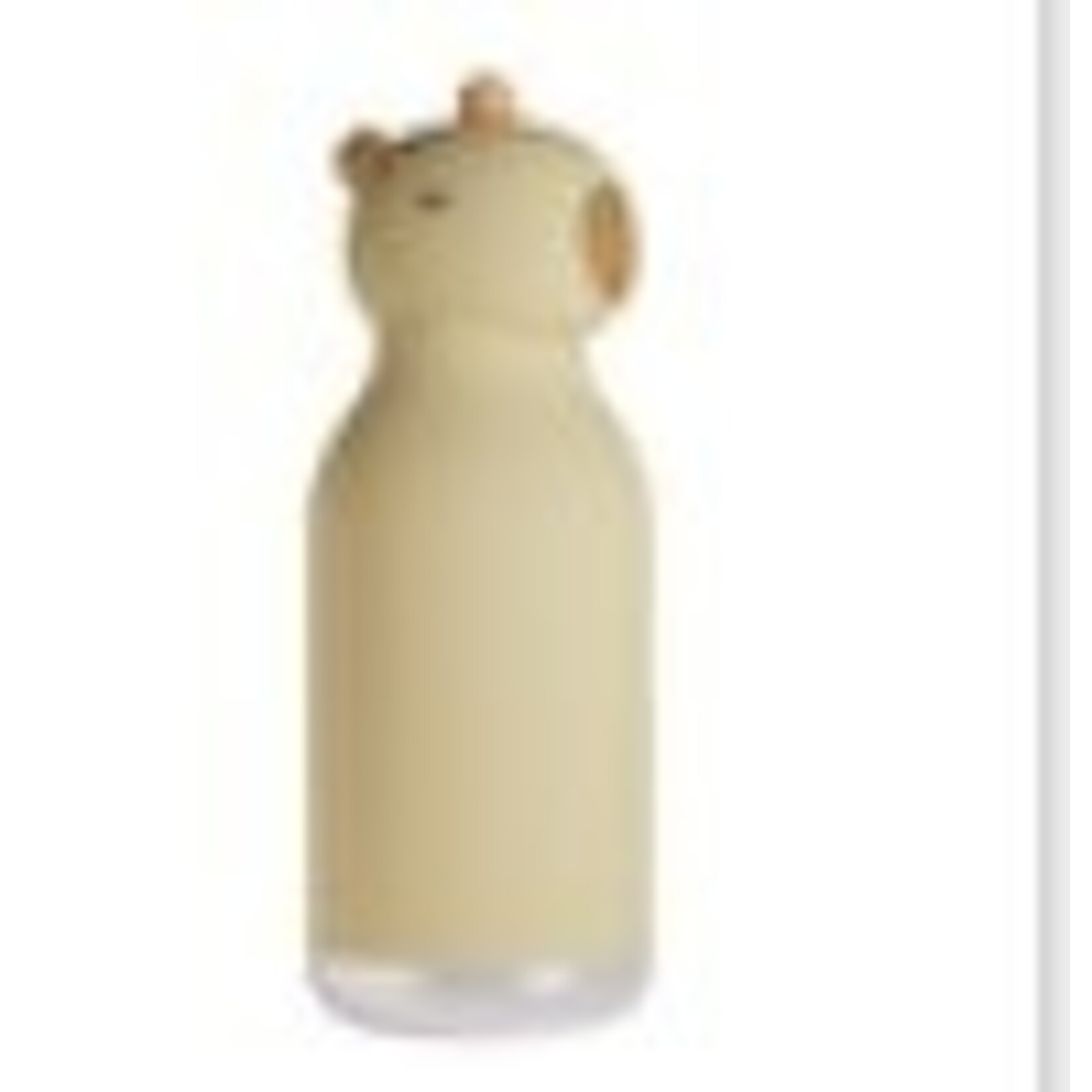 ASOBU ASOBU 16oz Animal Bottle - Capybara