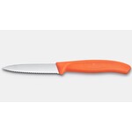 VICTORINOX VICTORINOX Classic Paring Knife Serrated 3.25'' - Tangerine Orange