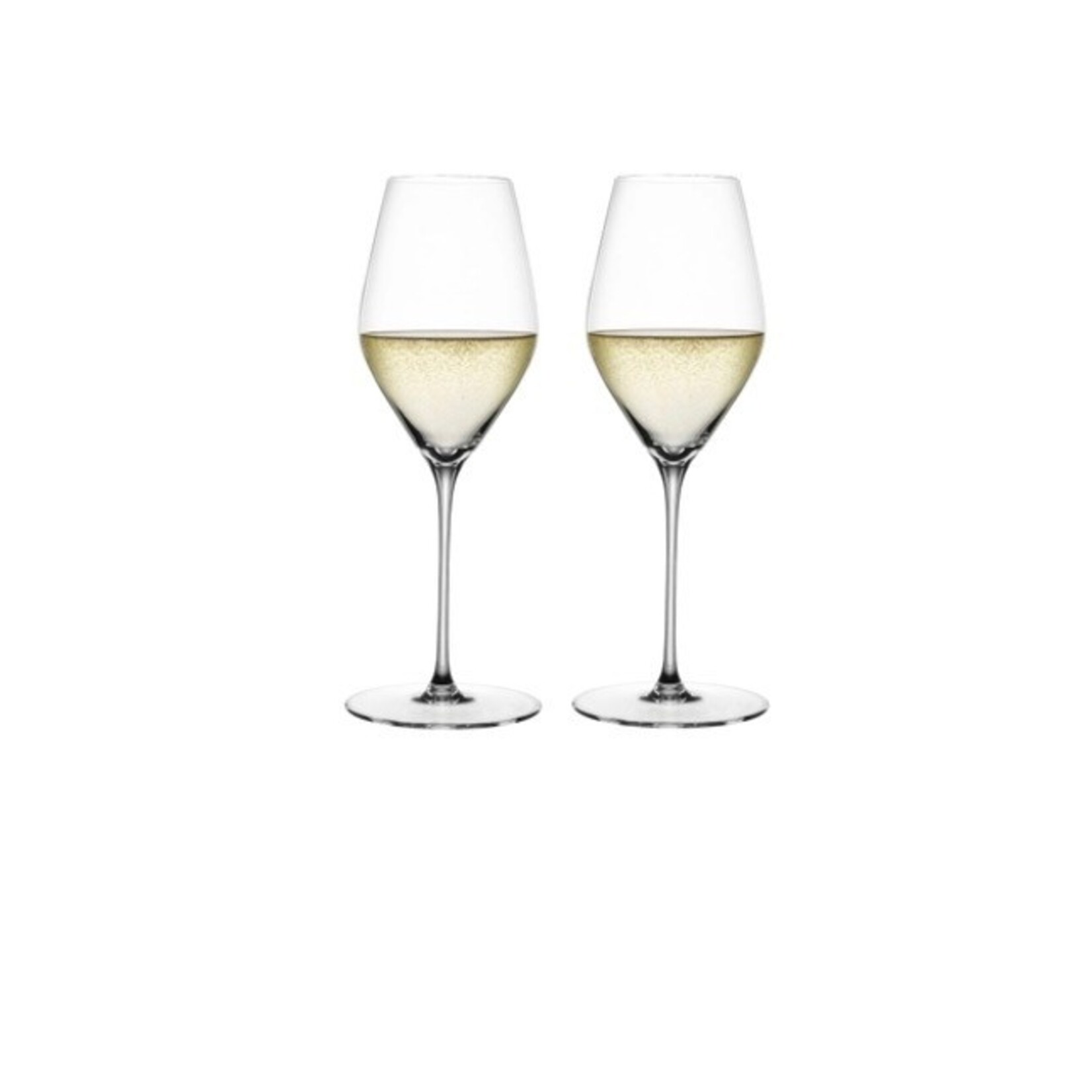 SPIEGELAU SPIEGELAU Hi-Lite Champagne Glass