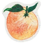 DANICA DANICA Compostable Sponge - Locally Grown - Asst