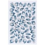 DANICA DANICA Dishtowel - Oysters