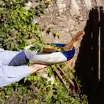 SELBRAE HOUSE SELBRAE HOUSE Large Ceramic Salad Bowl - Wave