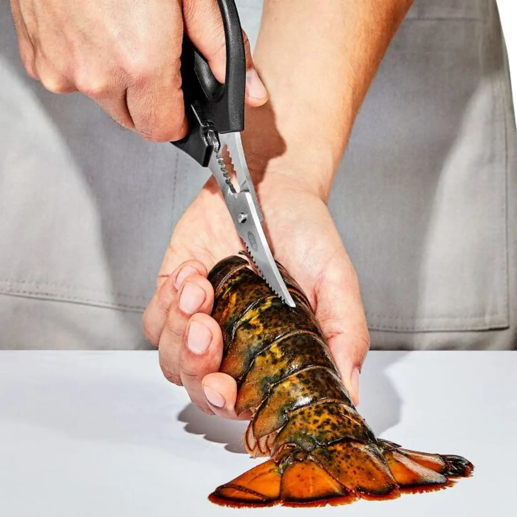 OXO OXO GG Seafood Scissors