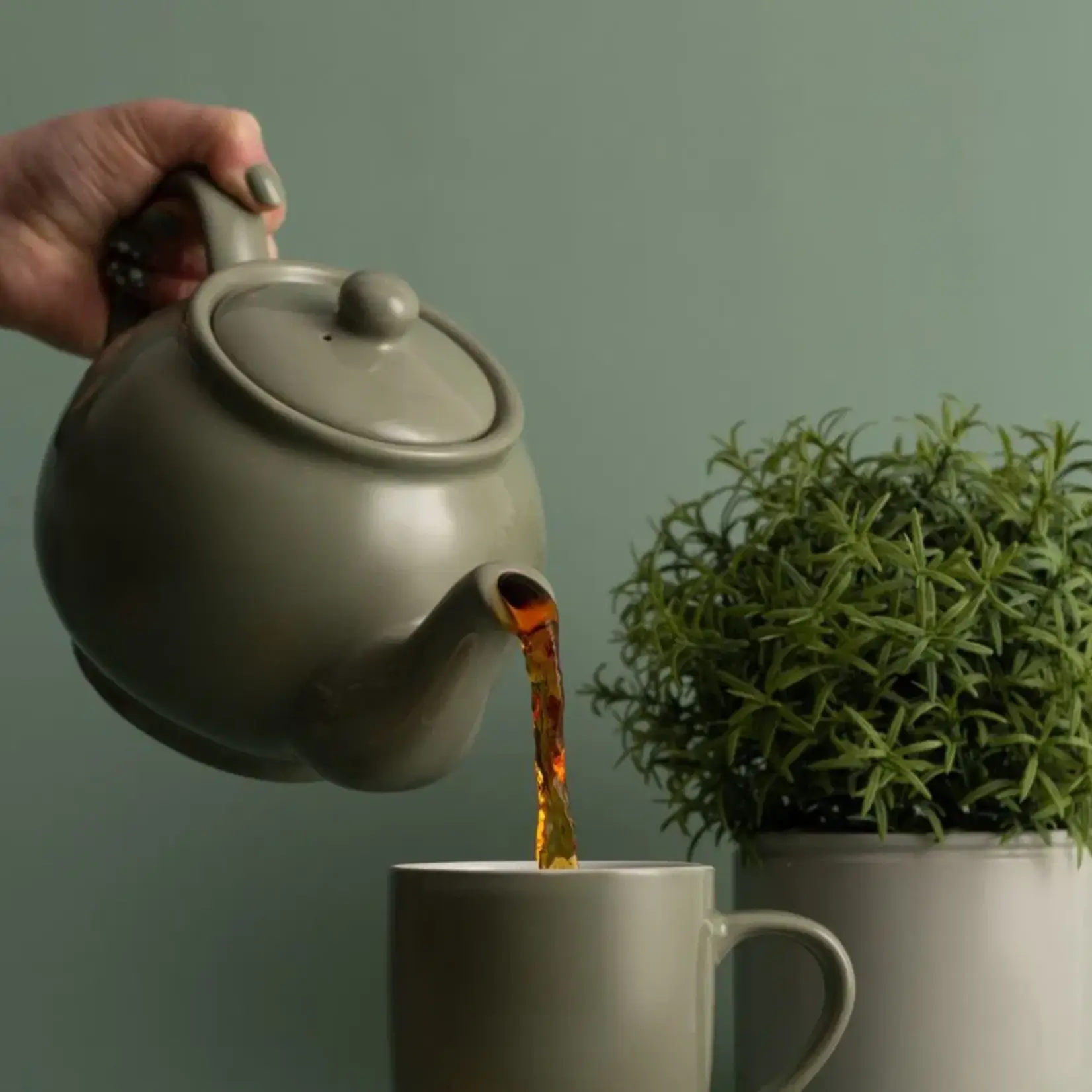 PRICE & KENSINGTON PRICE & KENSINGTON Classic 6-cup Teapot - Sage Green