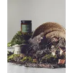 FOREST & BROOKS FOREST & BROOKS Trail Hike - Wooden Wick 8oz Candle