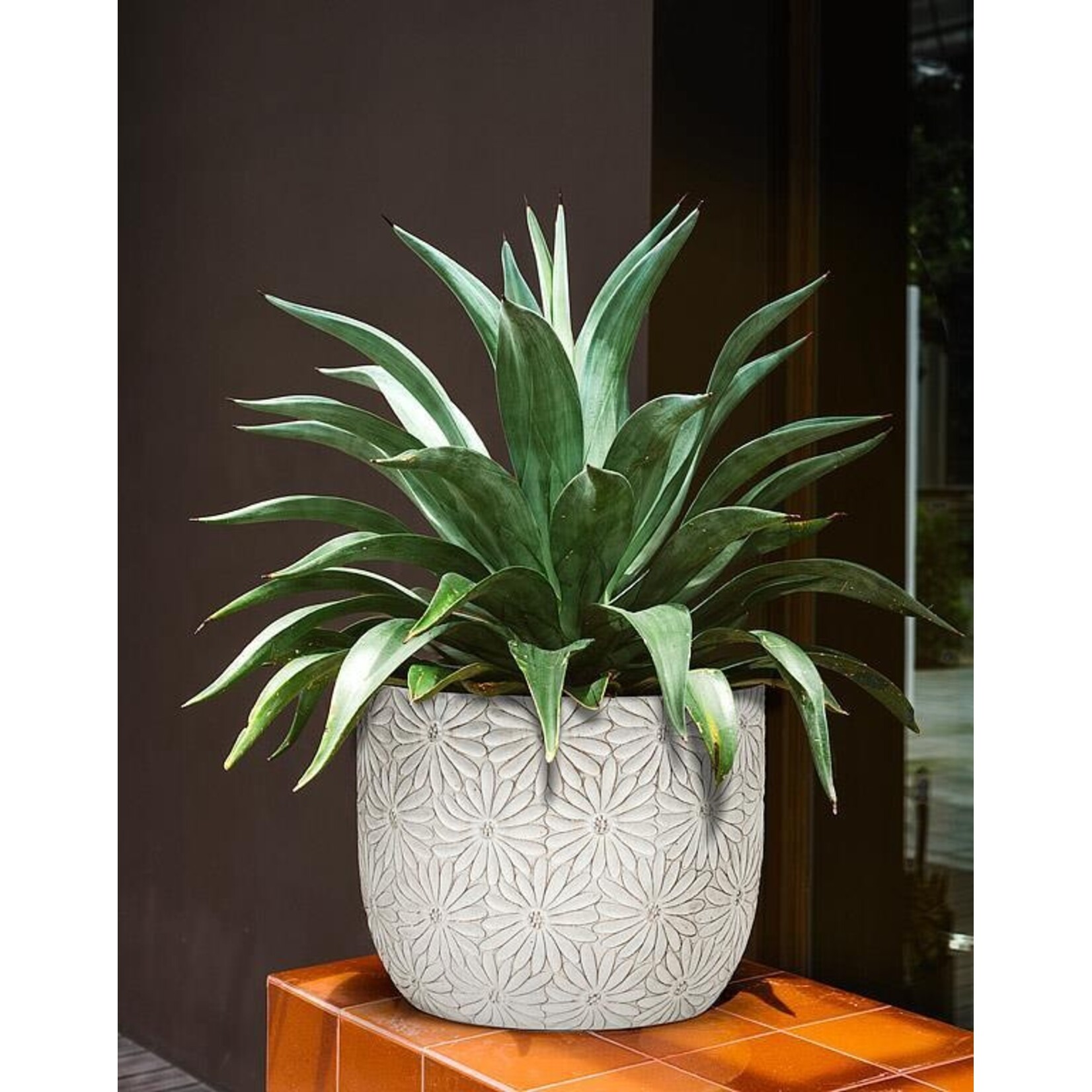 ABBOTT ABBOTT White Daisy Planter - Large