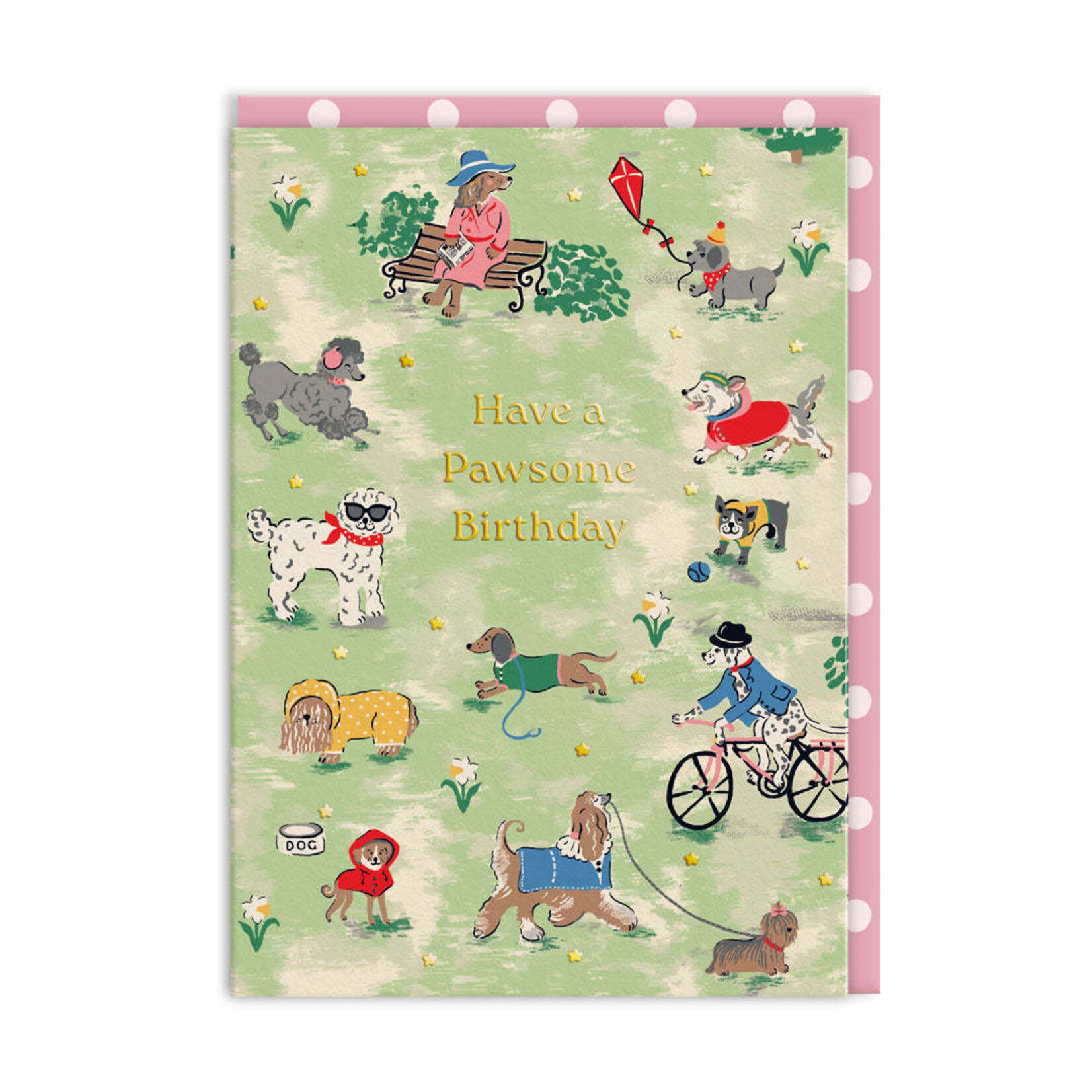 SHADOWBOX SHADOWBOX happy Birthday Park Dogs Greeting Card