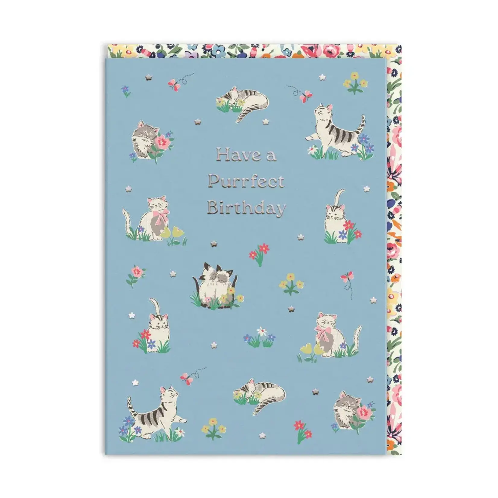 SHADOWBOX SHADOWBOX Purrfect Birthday Kittens Greeting Card
