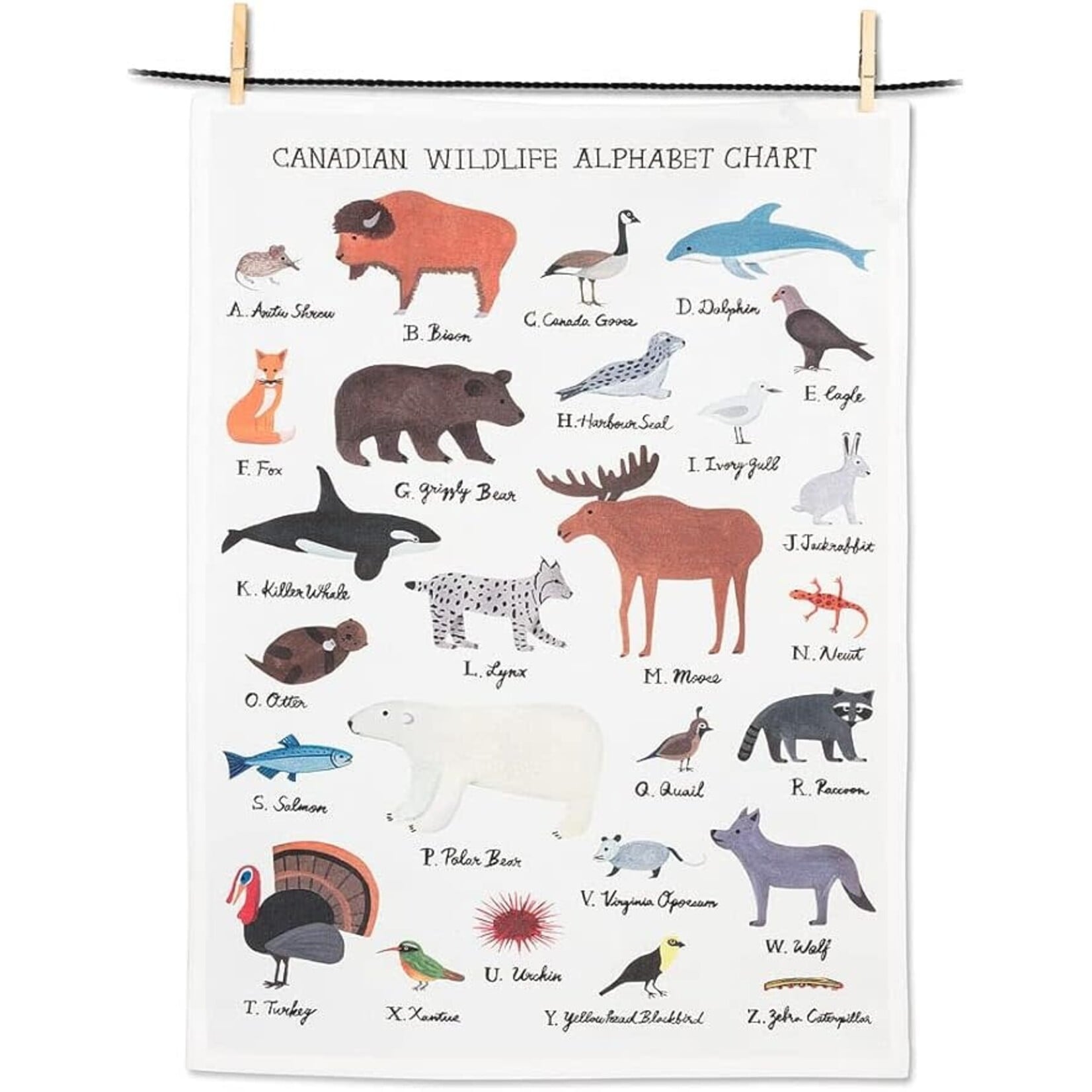 ABBOTT ABBOTT Wildlife Alphabet Kitchen Towel