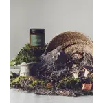 FOREST & BROOKS FOREST & BROOKS Trail Hike - Wooden Wick 8oz Candle