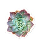 HARMAN HARMAN Succulent Shaped Napkin 20pk - Green