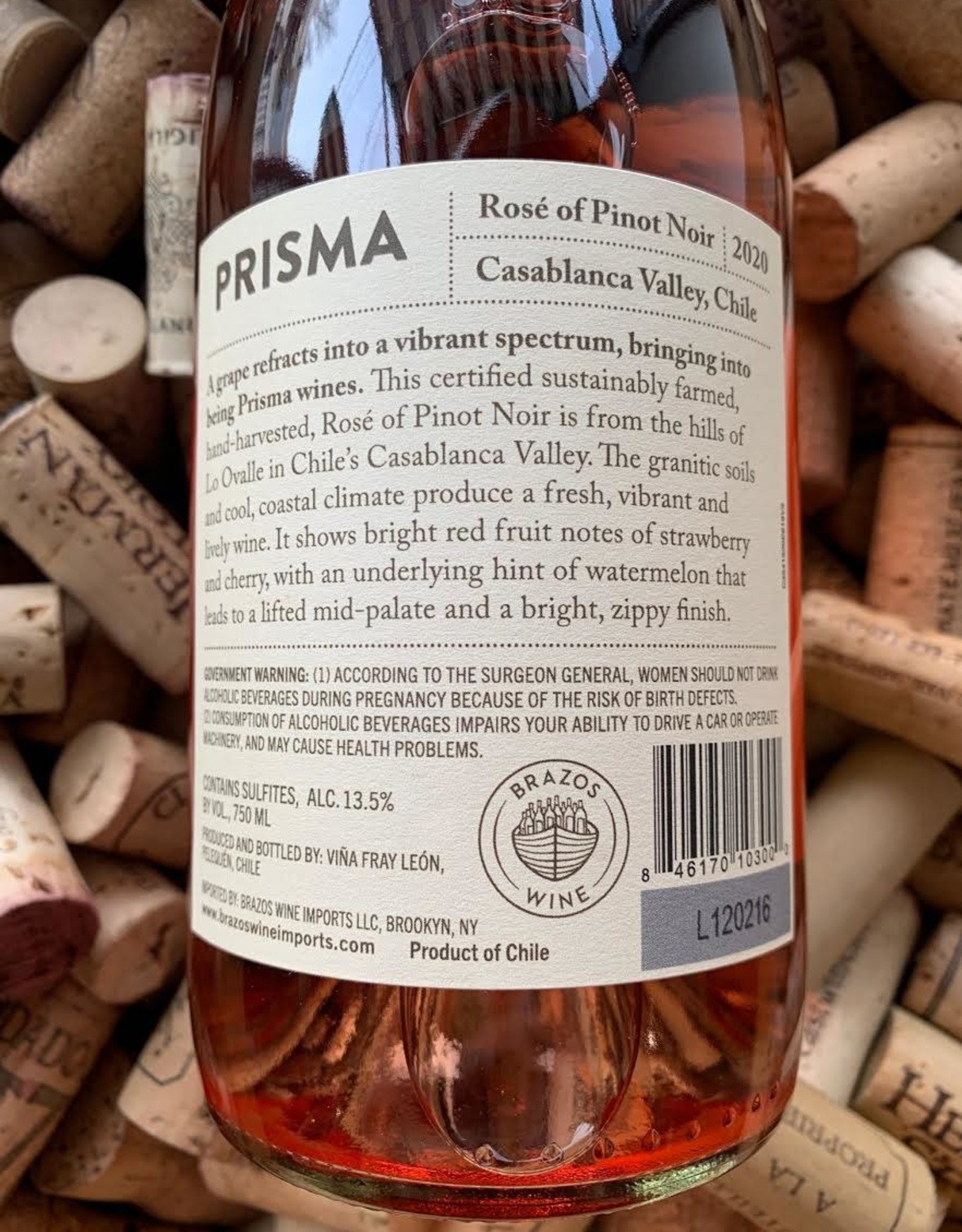 Prisma Rosé of Pinot Noir, Casablanca Valley, Chile