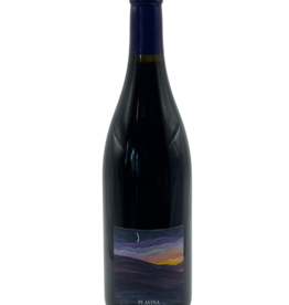 Domaine Bibich Plavina (Stainless Steel Ferment), Dalmatia Coast, Croatia