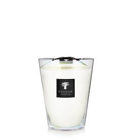 Madagascar Vanilla Max 24