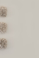 Clear & Dark Oxidized Hold Vessel