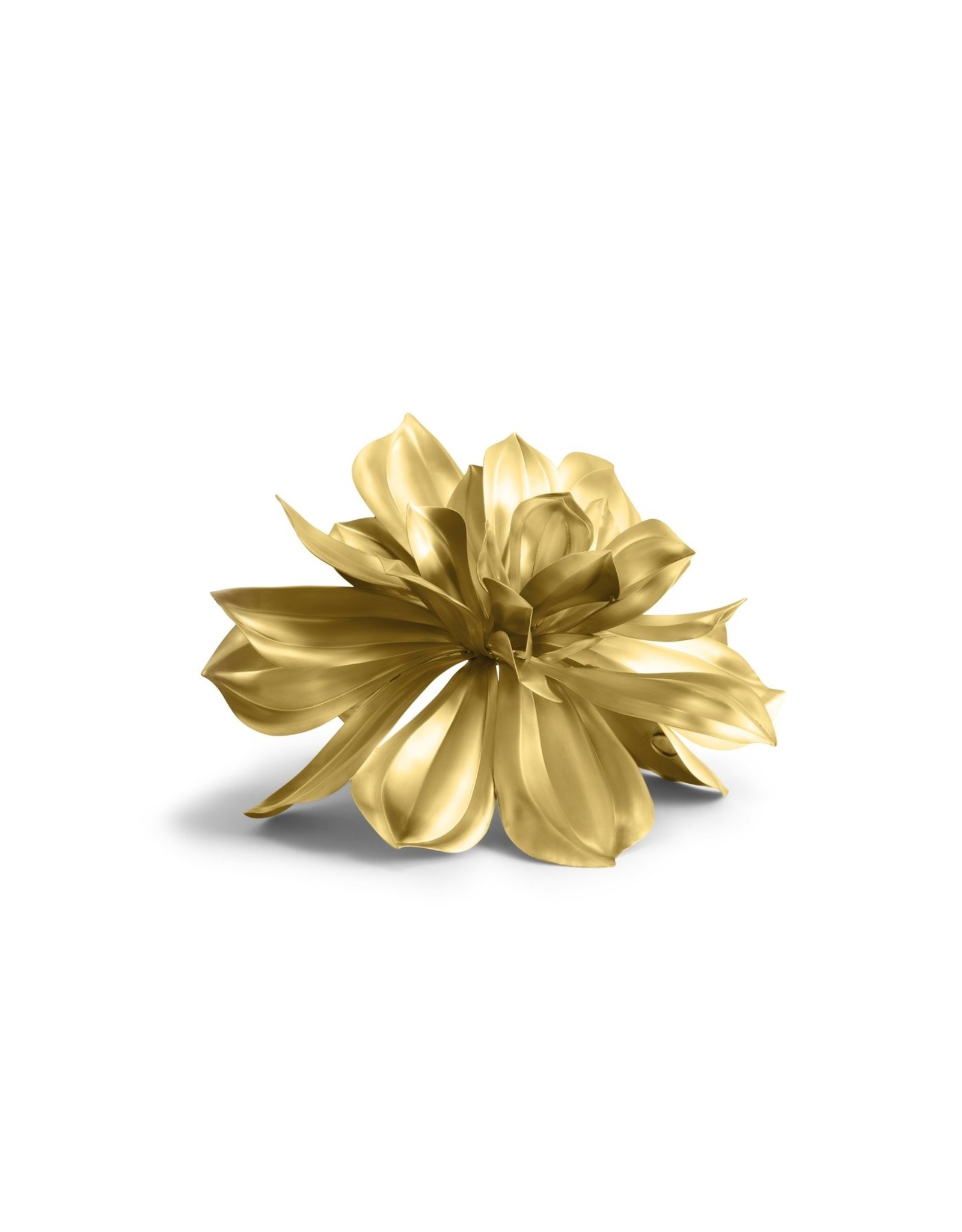 Magnolia Object, 166/500