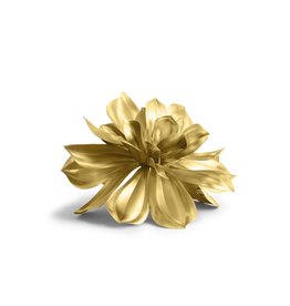 Magnolia Object, 166/500