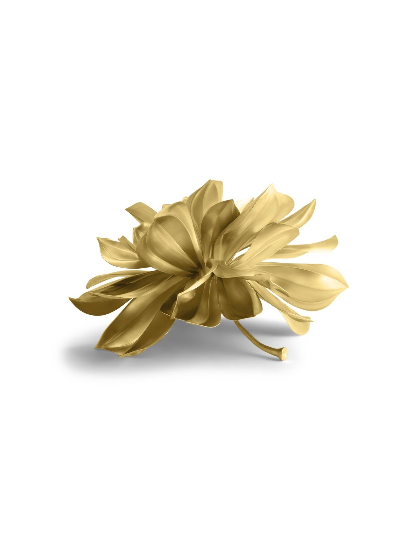 Magnolia Object, Natural Brass