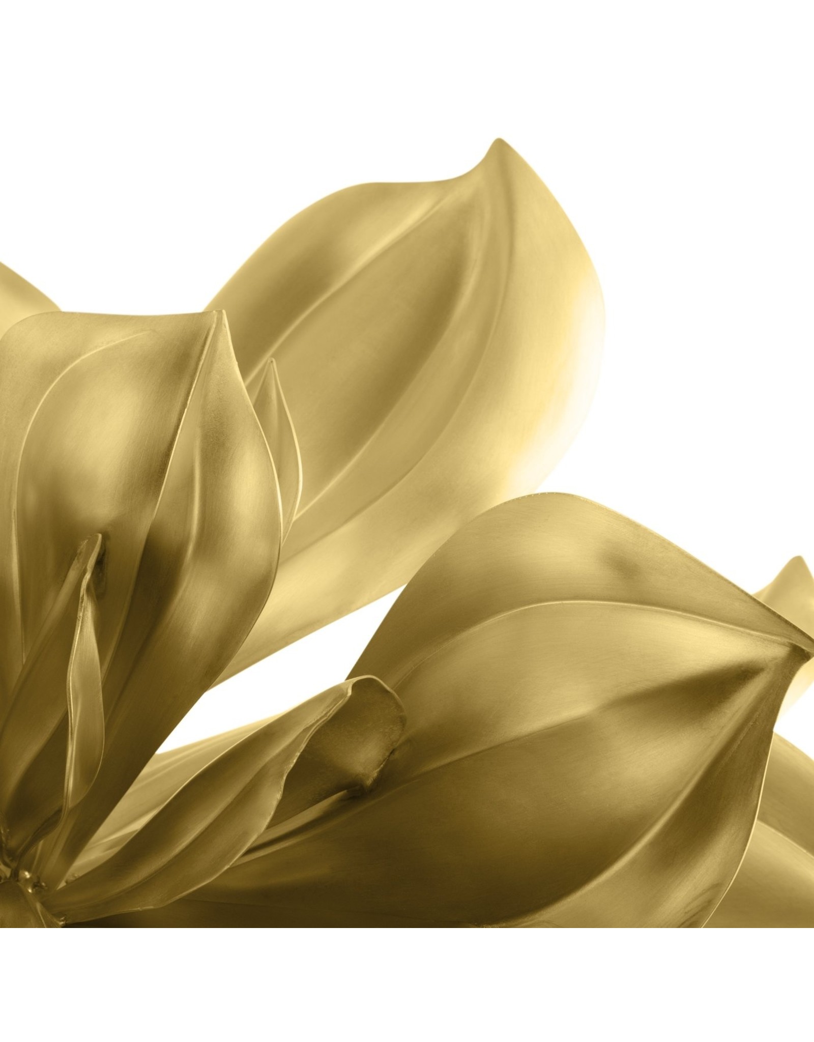 Magnolia Object, 166/500