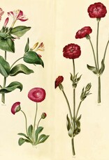 Green Florilegium