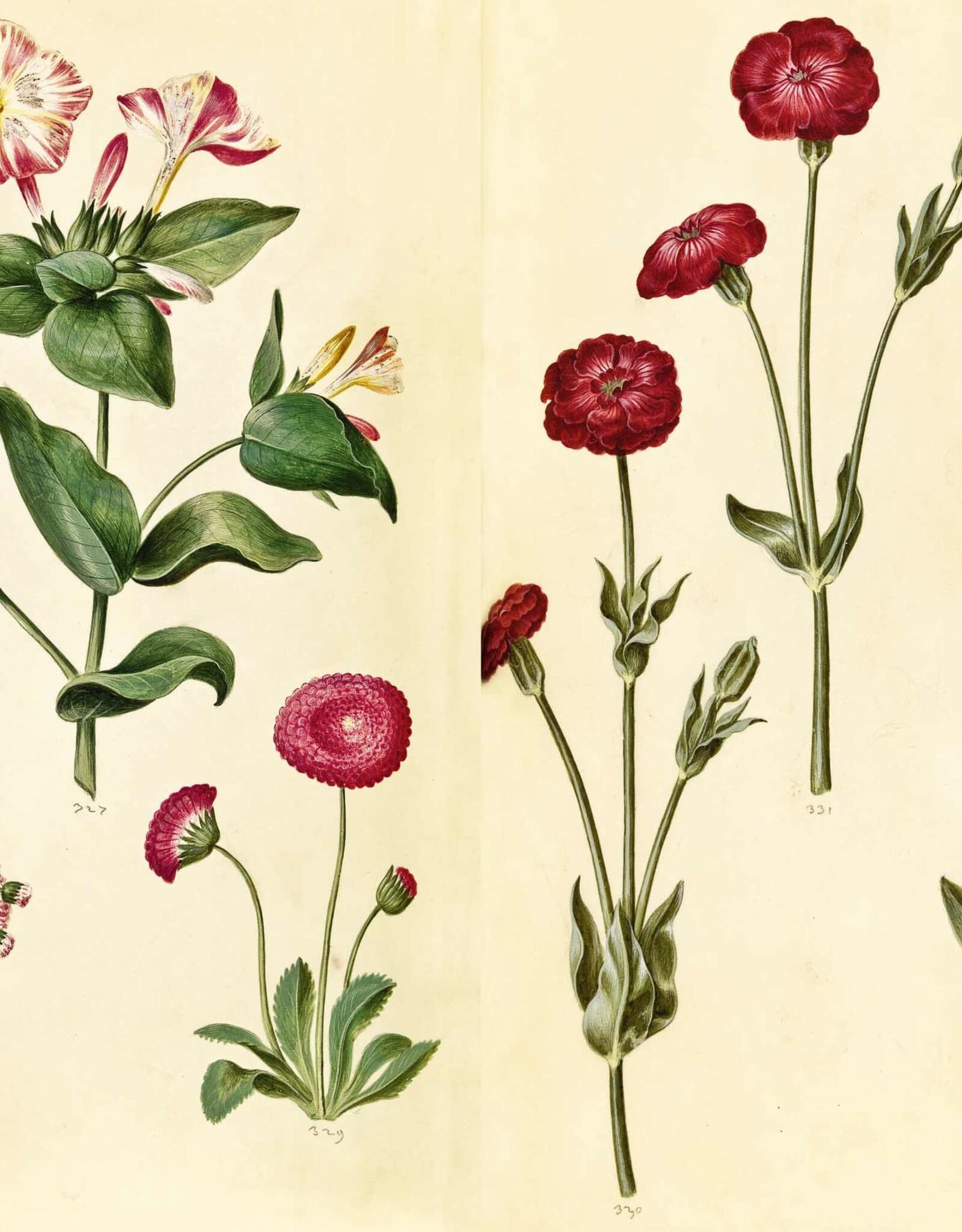 Green Florilegium