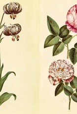 Green Florilegium