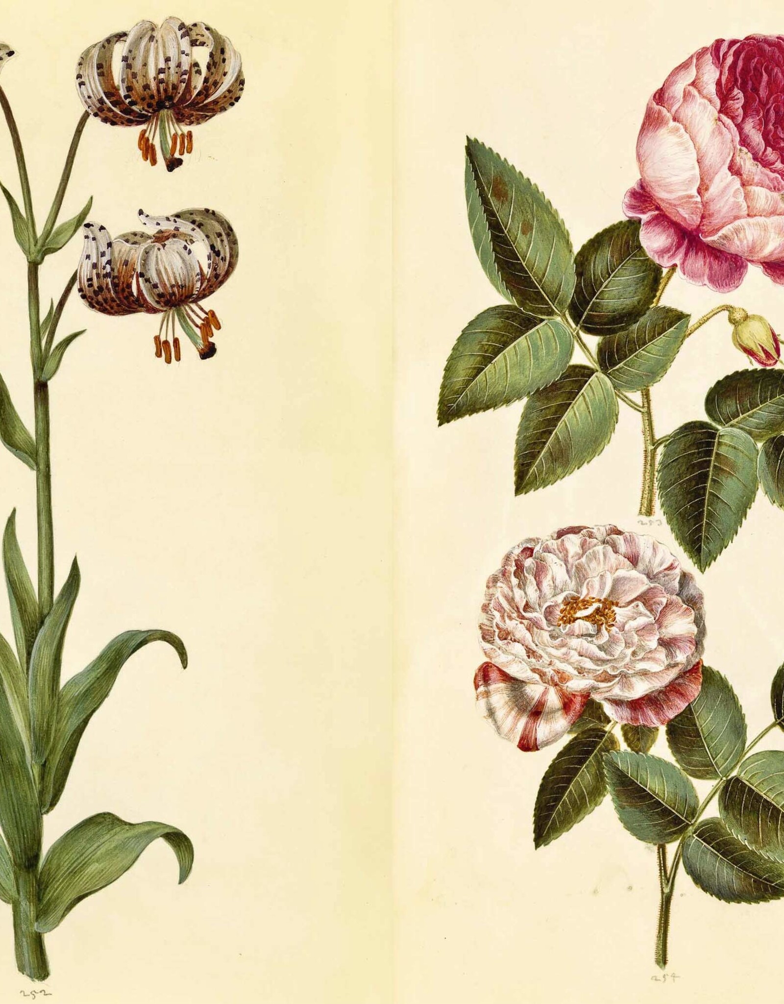 Green Florilegium