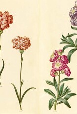 Green Florilegium