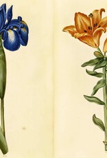 Green Florilegium