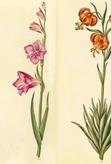 Green Florilegium