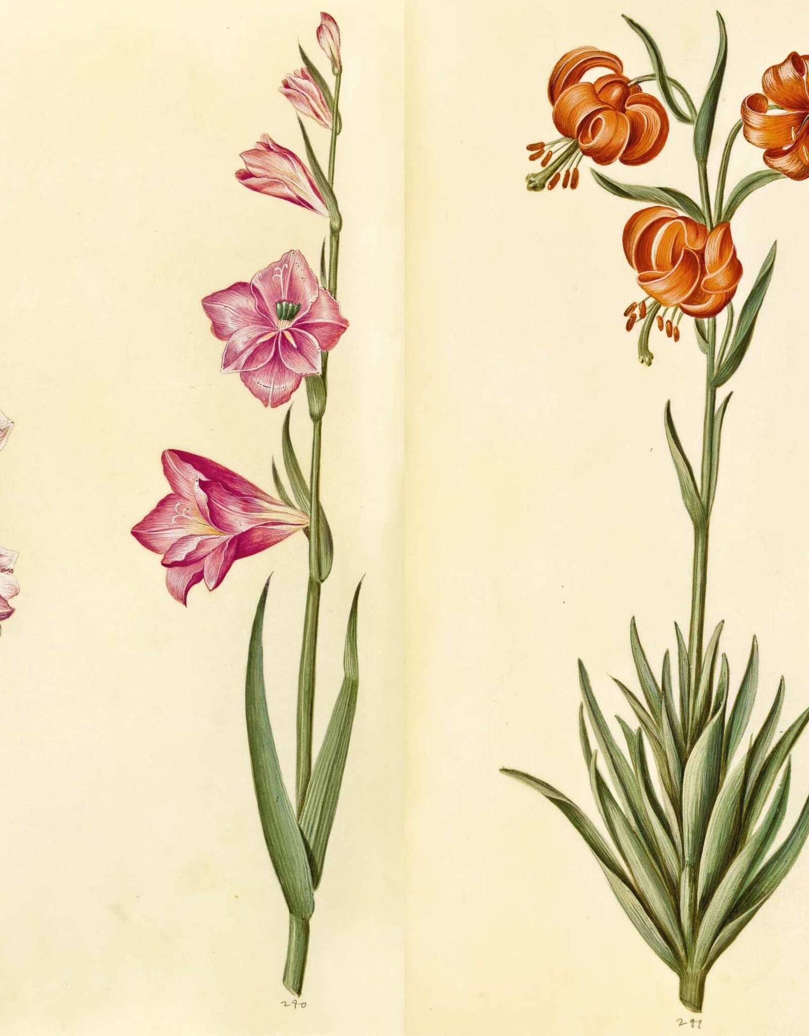 Green Florilegium