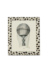 Hana Dalmatian Frame, 8 x 10