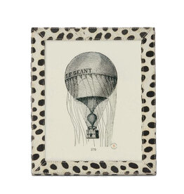 Hana Dalmatian Frame, 8 x 10