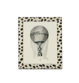 Hana Dalmatian Frame, 8 x 10