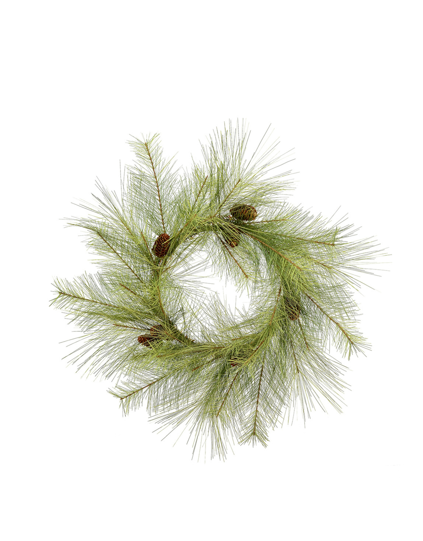 Vickerman Company Hugo Pine Wreath, 24 in