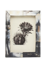Essen Dark Horn Frame, 5 x 7